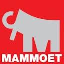 mammoet1.jpg